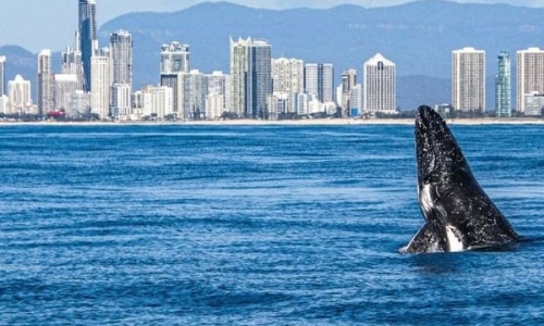 Long Term Fridge Rentals